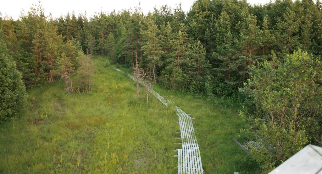 Kotkapoja Residence Kuressaare Pokoj fotografie